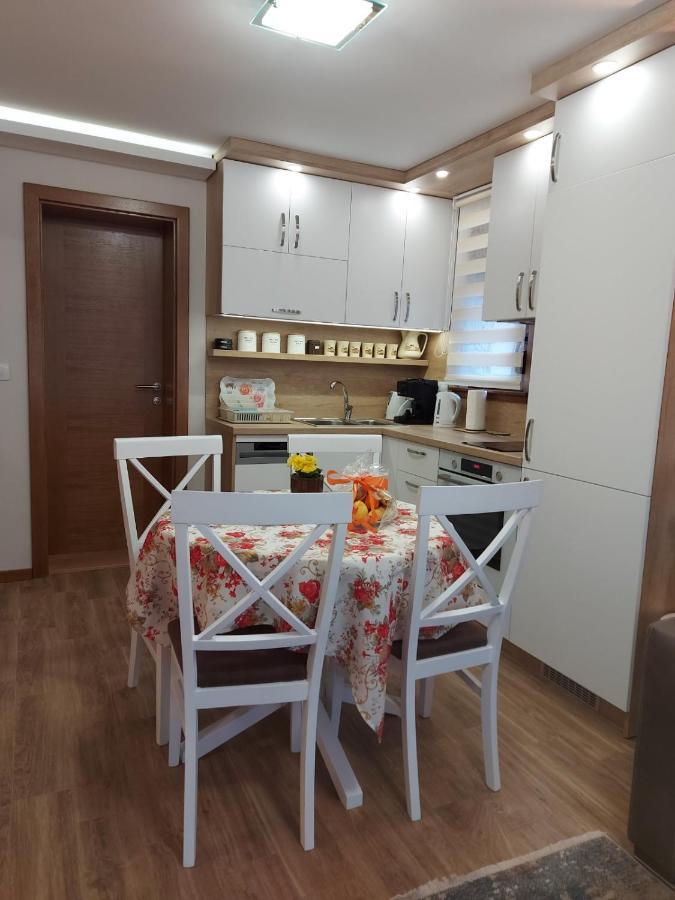 Vrnjačka Banja Apartmani Nik Lux المظهر الخارجي الصورة